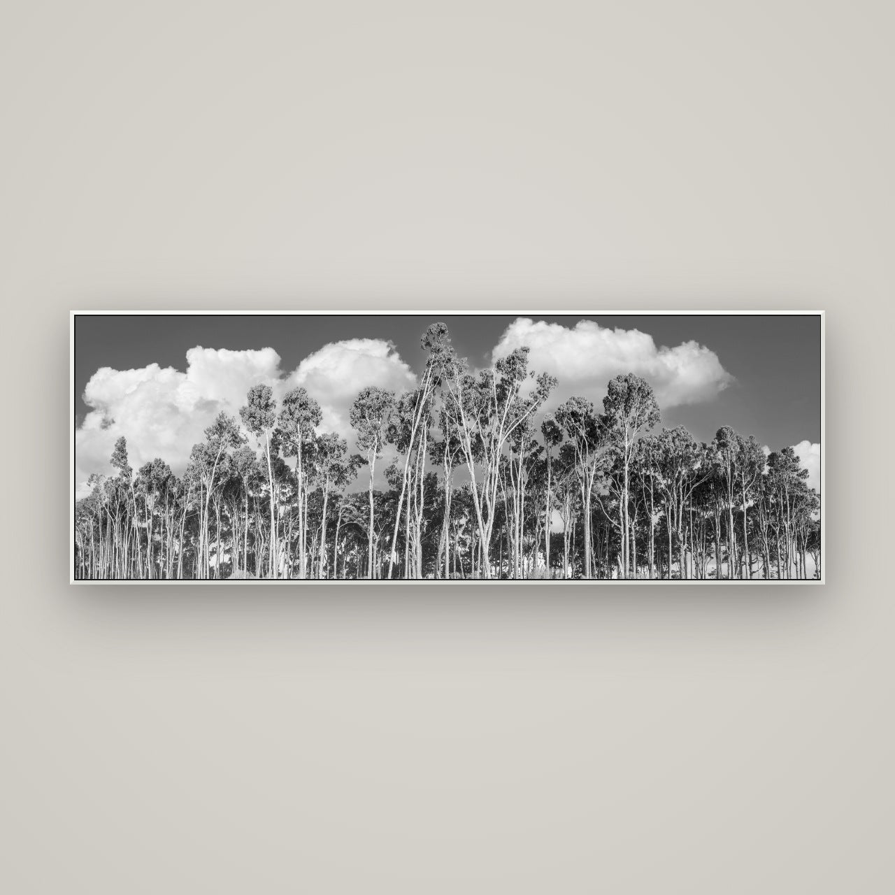 Rimu Reverie, Bruce Bay's Coastal Symphony — ArtBox White, 170×60 cm. New Zealand fine art wall art by Stephen Milner.