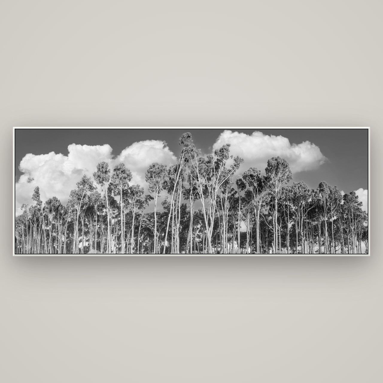 Rimu Reverie, Bruce Bay's Coastal Symphony — ArtBox White, 198×70 cm. New Zealand fine art wall art by Stephen Milner.