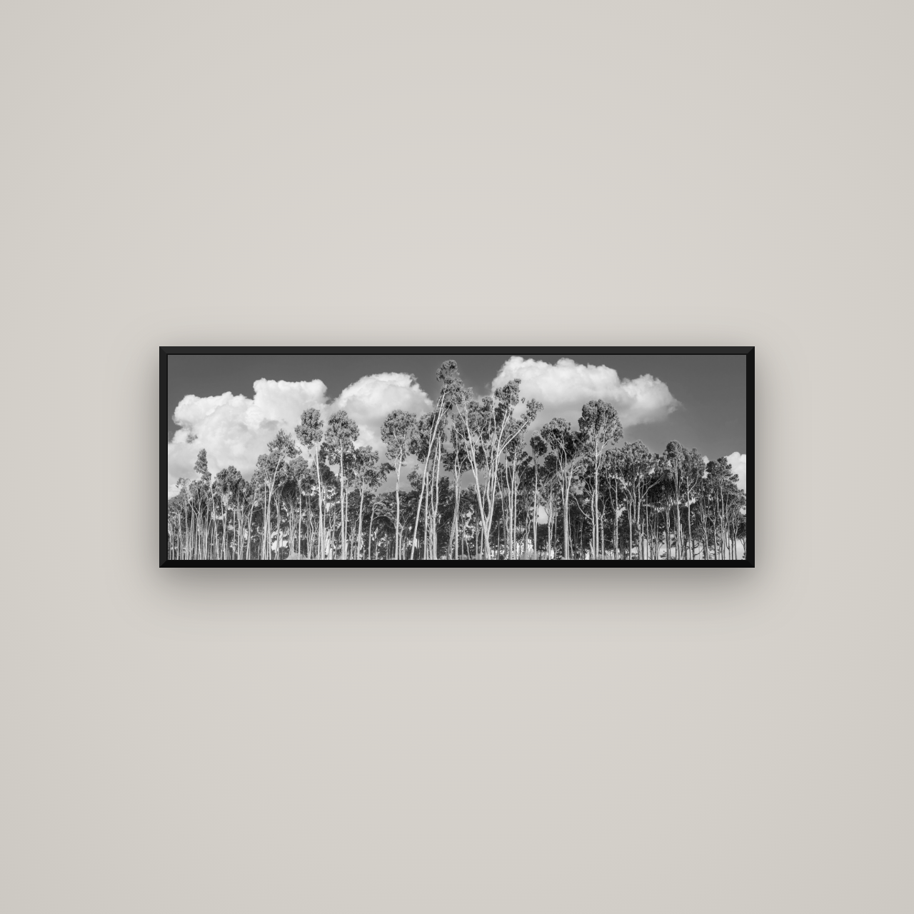 Rimu Reverie, Bruce Bay's Coastal Symphony — Basel Black Matte, 113×40 cm. New Zealand fine art wall art by Stephen Milner.
