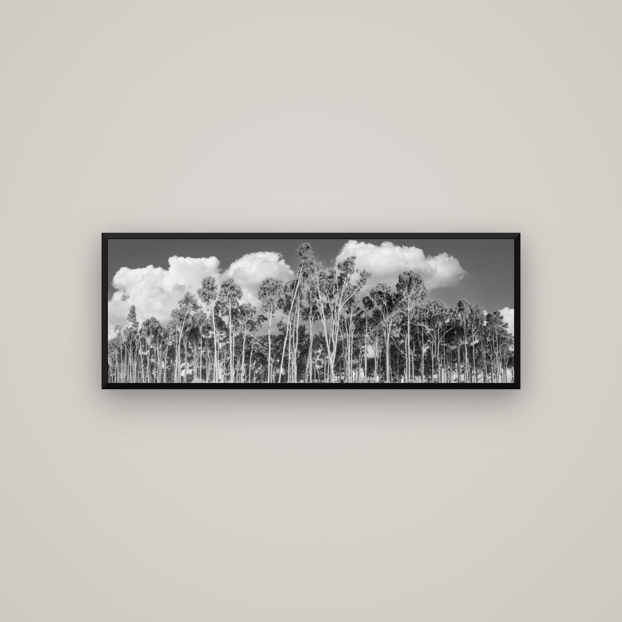 Rimu Reverie, Bruce Bay's Coastal Symphony — Basel Black, 113×40 cm. New Zealand fine art wall art by Stephen Milner.