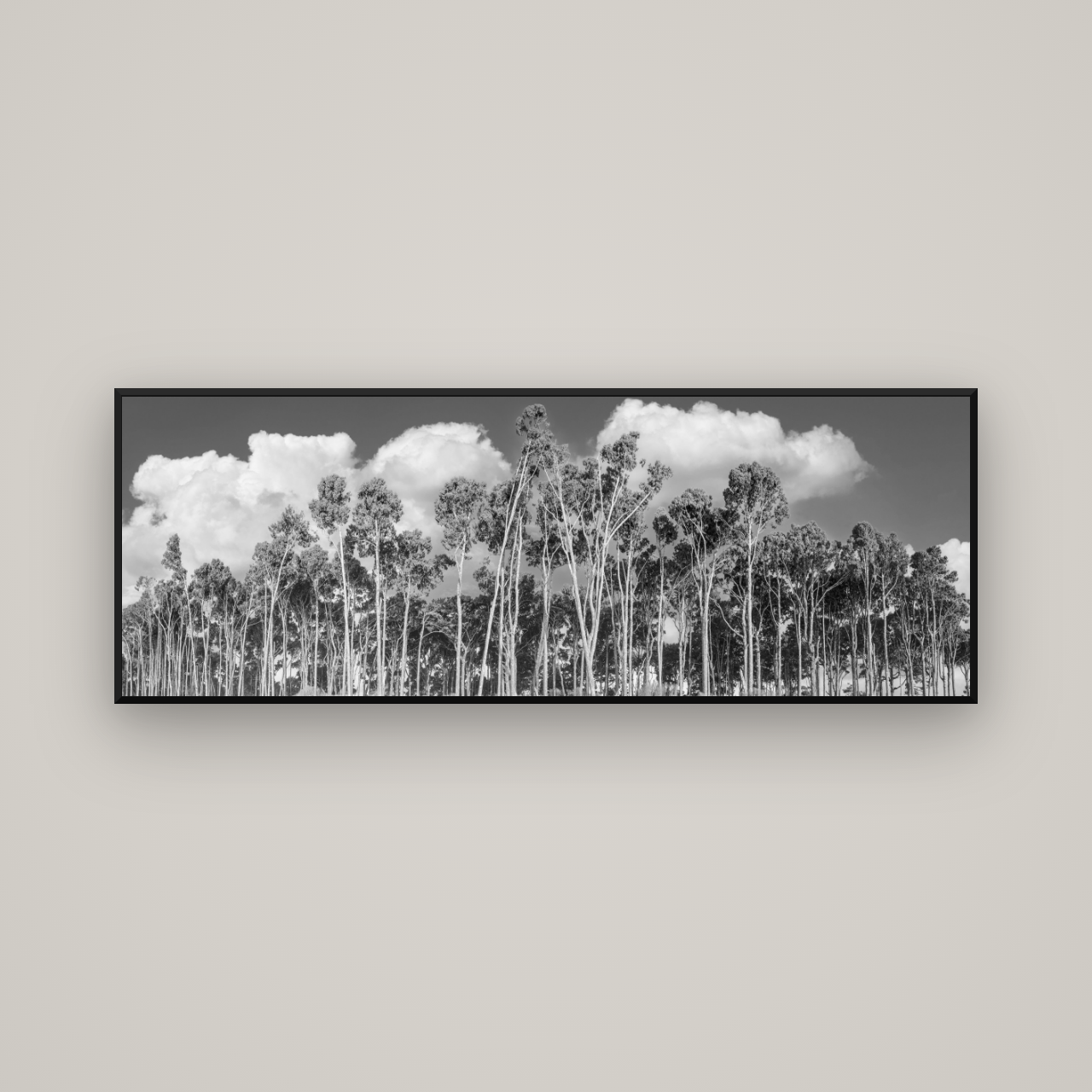 Rimu Reverie, Bruce Bay's Coastal Symphony — Basel Black Matte, 170×60 cm. New Zealand fine art wall art by Stephen Milner.
