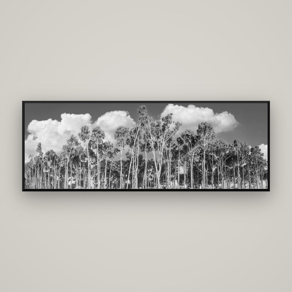 Rimu Reverie, Bruce Bay's Coastal Symphony — Basel Black Matte, 170×60 cm. New Zealand fine art wall art by Stephen Milner.
