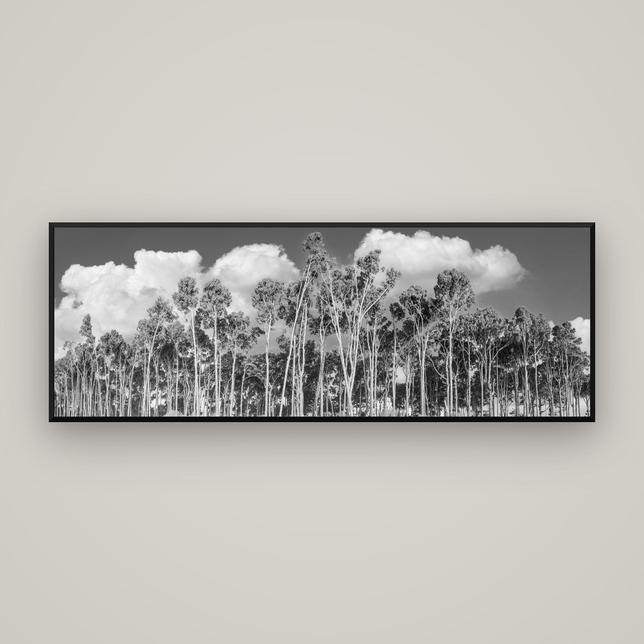 Rimu Reverie, Bruce Bay's Coastal Symphony — Basel Black, 170×60 cm. New Zealand fine art wall art by Stephen Milner.