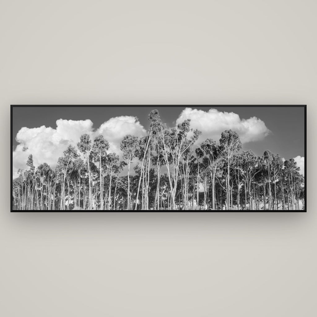 Rimu Reverie, Bruce Bay's Coastal Symphony — Basel Black Matte, 198×70 cm. New Zealand fine art wall art by Stephen Milner.
