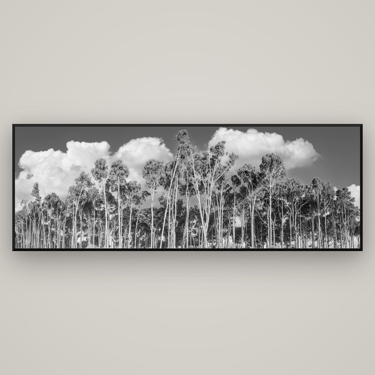 Rimu Reverie, Bruce Bay's Coastal Symphony — Basel Black, 198×70 cm. New Zealand fine art wall art by Stephen Milner.