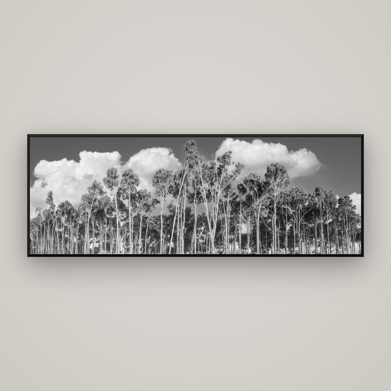 Rimu Reverie, Bruce Bay's Coastal Symphony — Basel Black Matte, 198×70 cm. New Zealand fine art wall art by Stephen Milner.