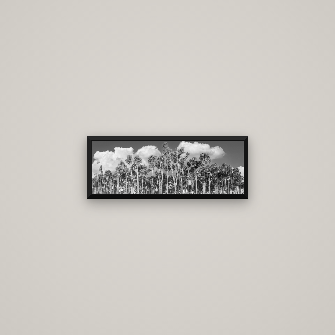 Rimu Reverie, Bruce Bay's Coastal Symphony — Basel Black Matte, 57×20 cm. New Zealand fine art wall art by Stephen Milner.