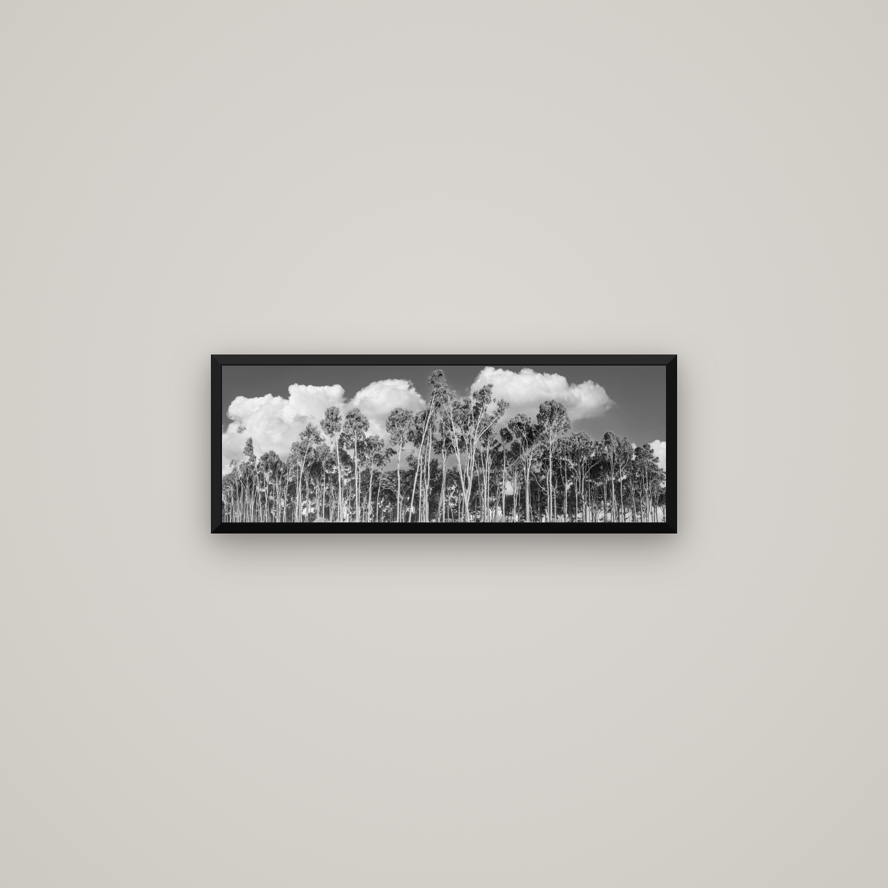 Rimu Reverie, Bruce Bay's Coastal Symphony — Basel Black Matte, 68×24 cm. New Zealand fine art wall art by Stephen Milner.