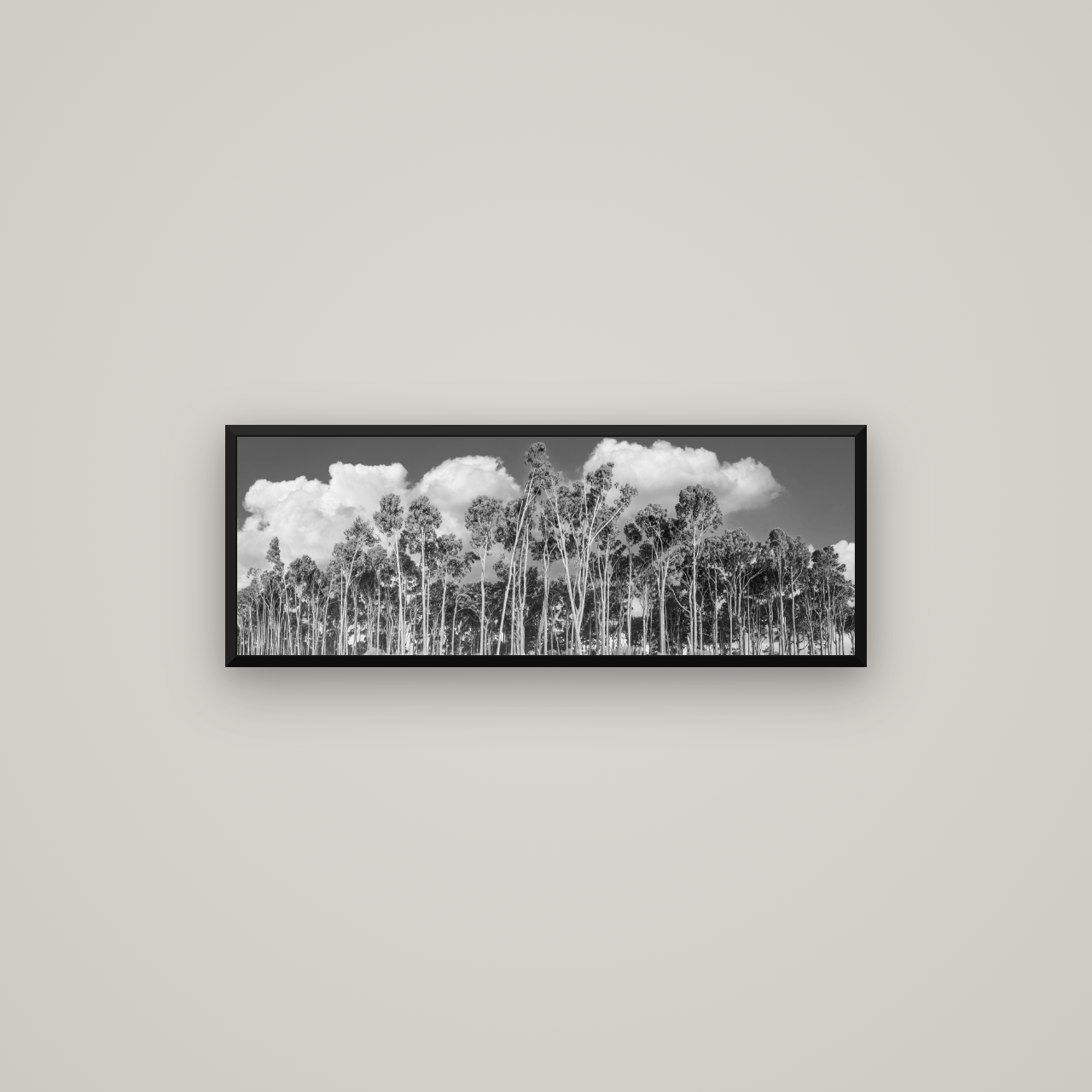 Rimu Reverie, Bruce Bay's Coastal Symphony — Basel Black Matte, 85×30 cm. New Zealand fine art wall art by Stephen Milner.