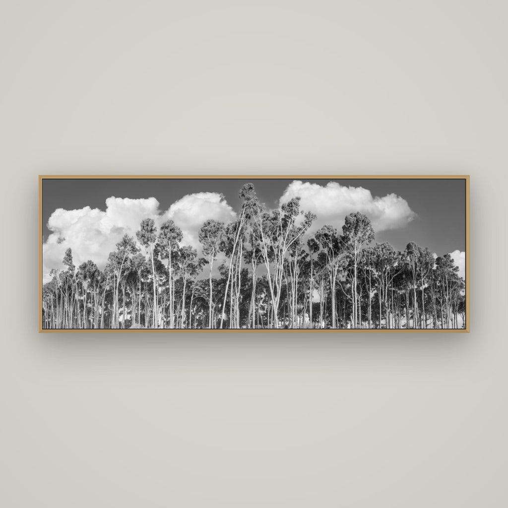 Rimu Reverie, Bruce Bay's Coastal Symphony, Basel Natural Oak, 170×60 cm. New Zealand fine art wall art by Stephen Milner.