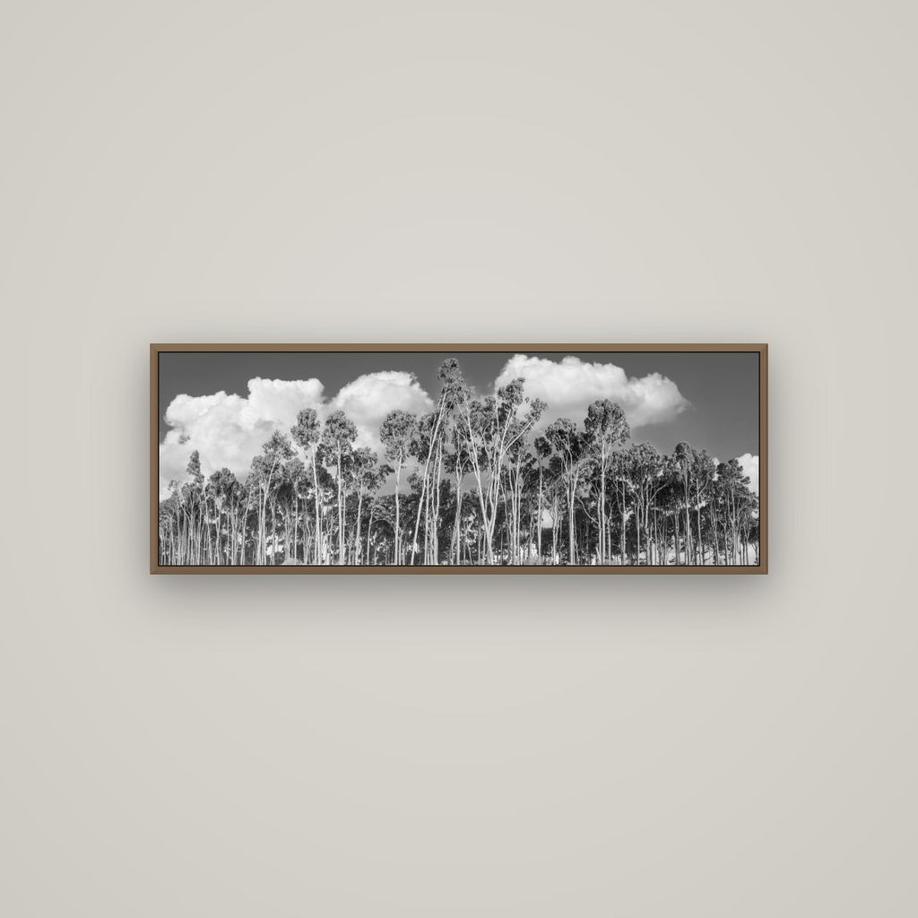 Rimu Reverie, Bruce Bay's Coastal Symphony, Basel Walnut, 113×40 cm. New Zealand fine art wall art by Stephen Milner.