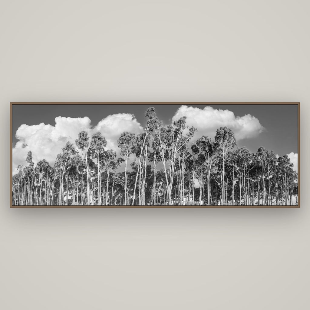 Rimu Reverie, Bruce Bay's Coastal Symphony, Basel Walnut, 198×70 cm. New Zealand fine art wall art by Stephen Milner.