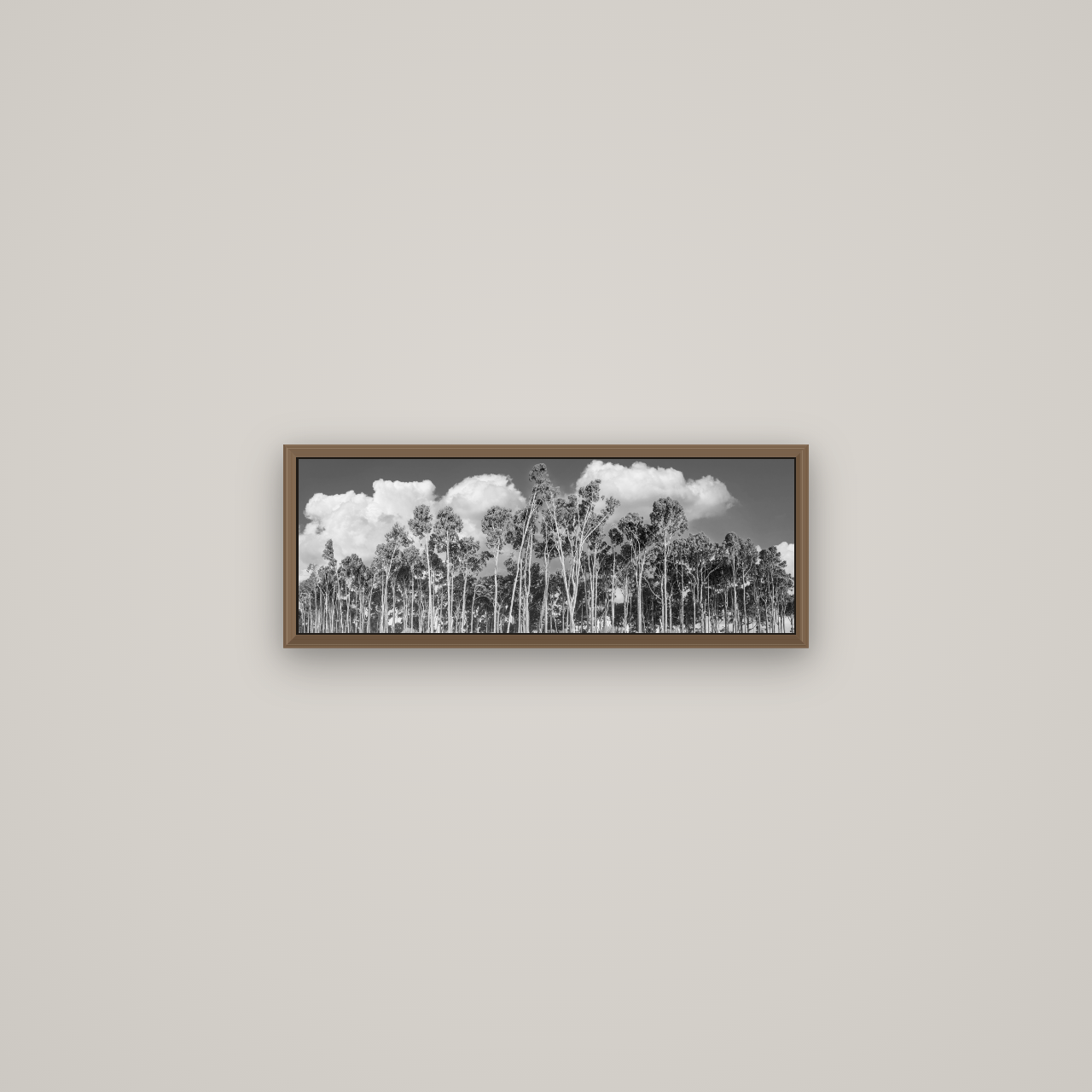 Rimu Reverie, Bruce Bay's Coastal Symphony, Basel Walnut, 57×20 cm. New Zealand fine art wall art by Stephen Milner.
