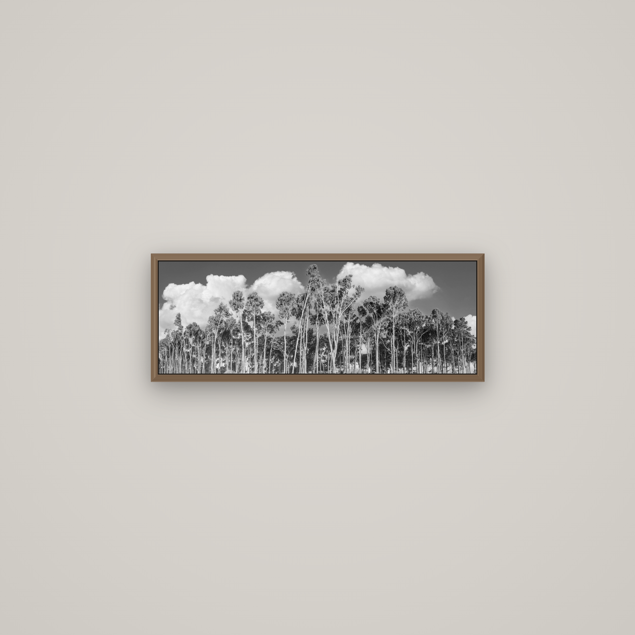 Rimu Reverie, Bruce Bay's Coastal Symphony, Basel Walnut, 68×24 cm. New Zealand fine art wall art by Stephen Milner.