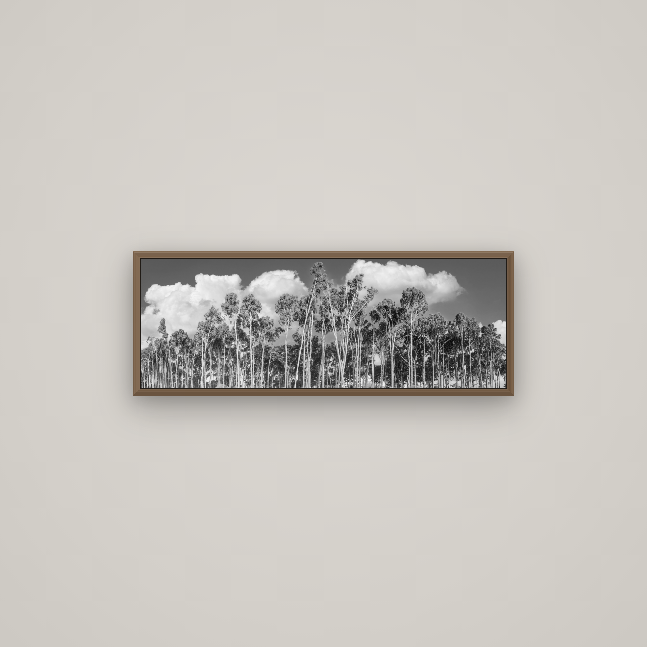 Rimu Reverie, Bruce Bay's Coastal Symphony, Basel Walnut, 85×30 cm. New Zealand fine art wall art by Stephen Milner.