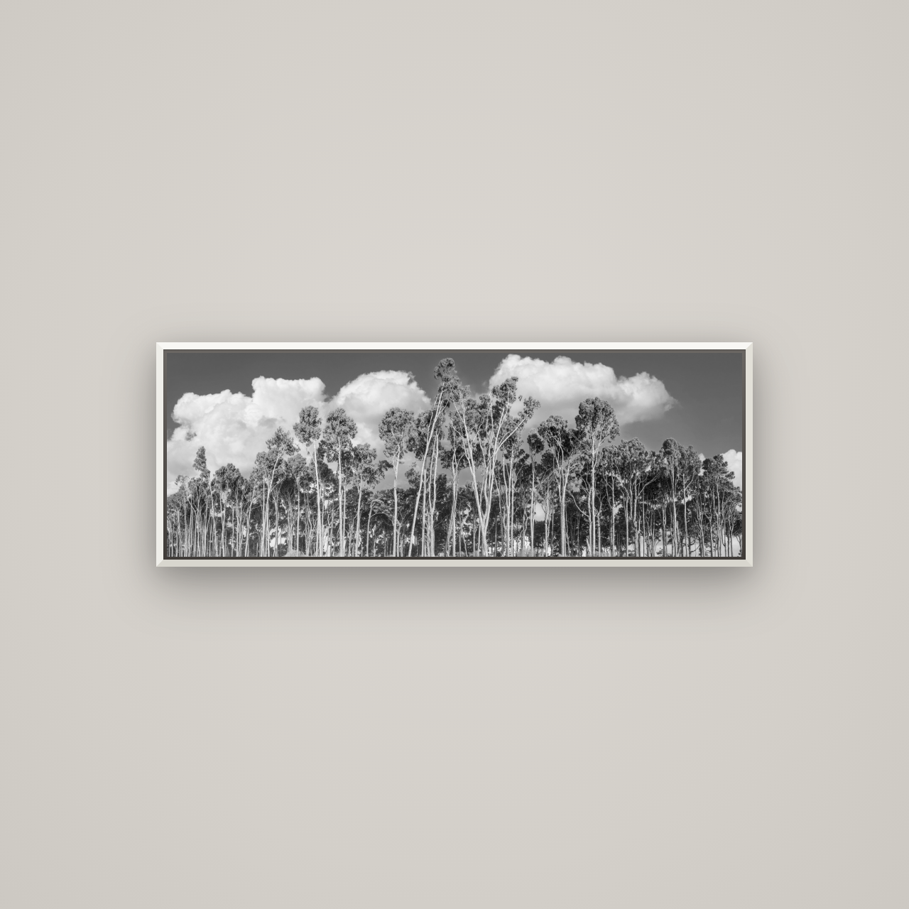 Rimu Reverie, Bruce Bay's Coastal Symphony — Basel White, 113×40 cm. New Zealand fine art wall art by Stephen Milner.