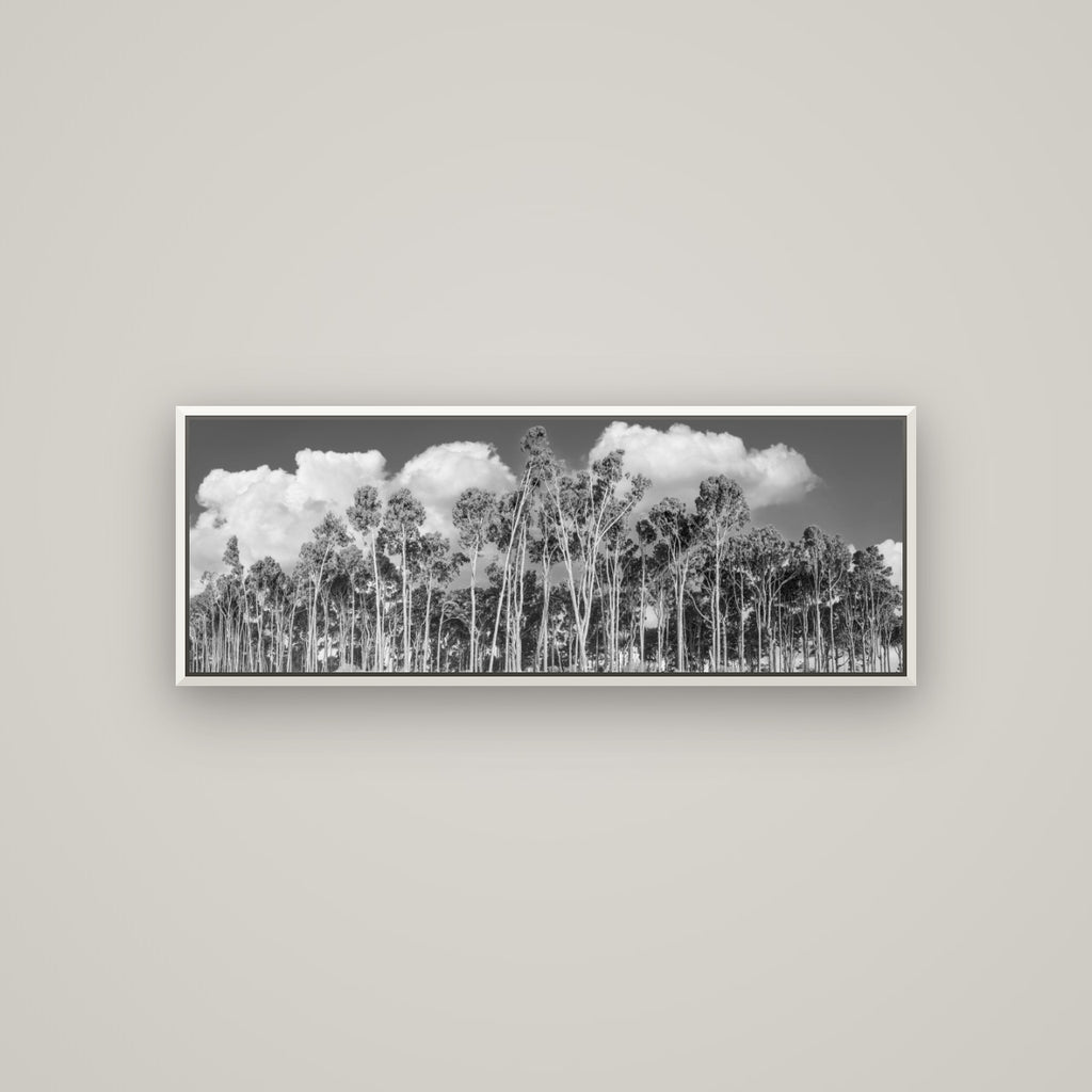 Rimu Reverie, Bruce Bay's Coastal Symphony — Basel White, 113×40 cm. New Zealand fine art wall art by Stephen Milner.