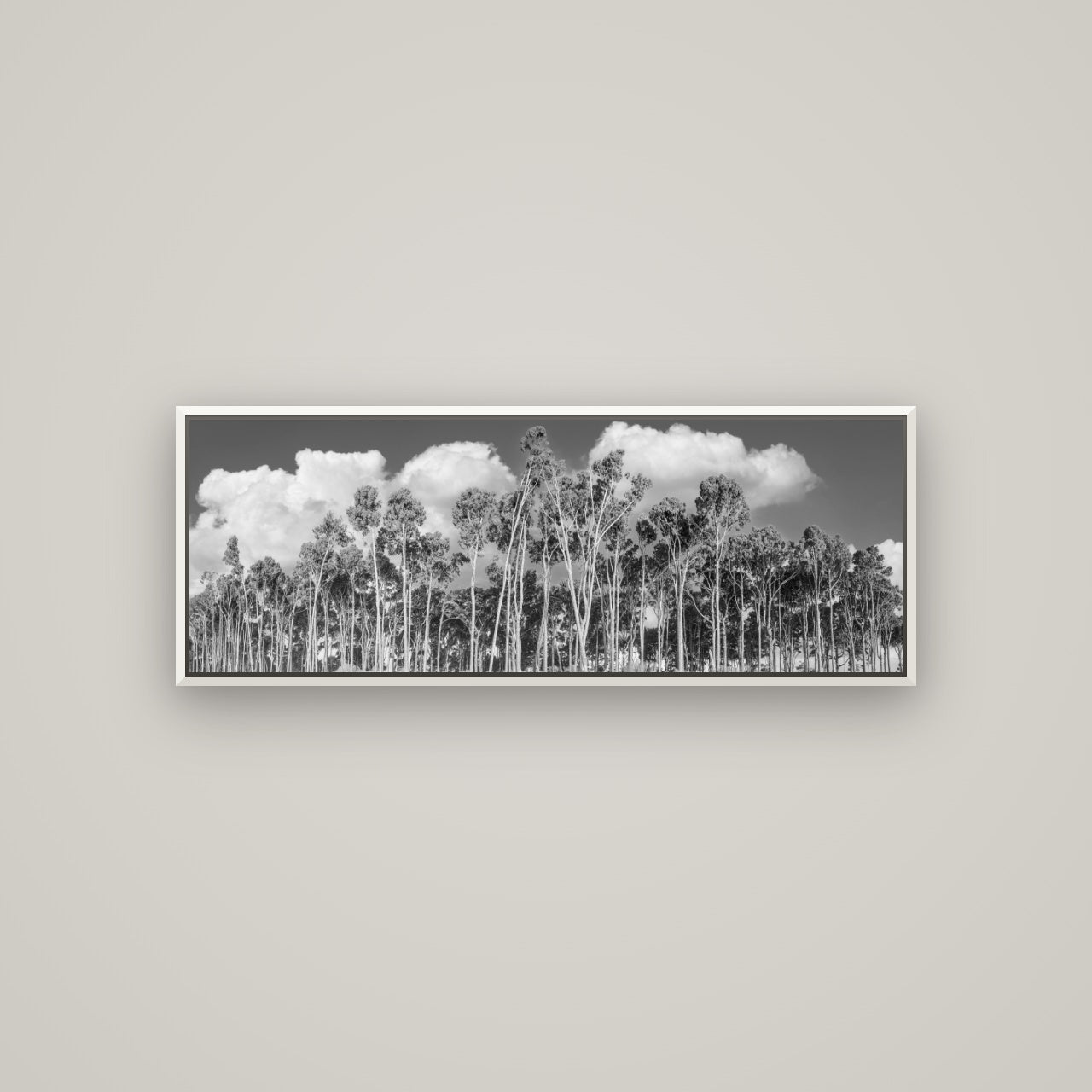 Rimu Reverie, Bruce Bay's Coastal Symphony — Basel White, 113×40 cm. New Zealand fine art wall art by Stephen Milner.