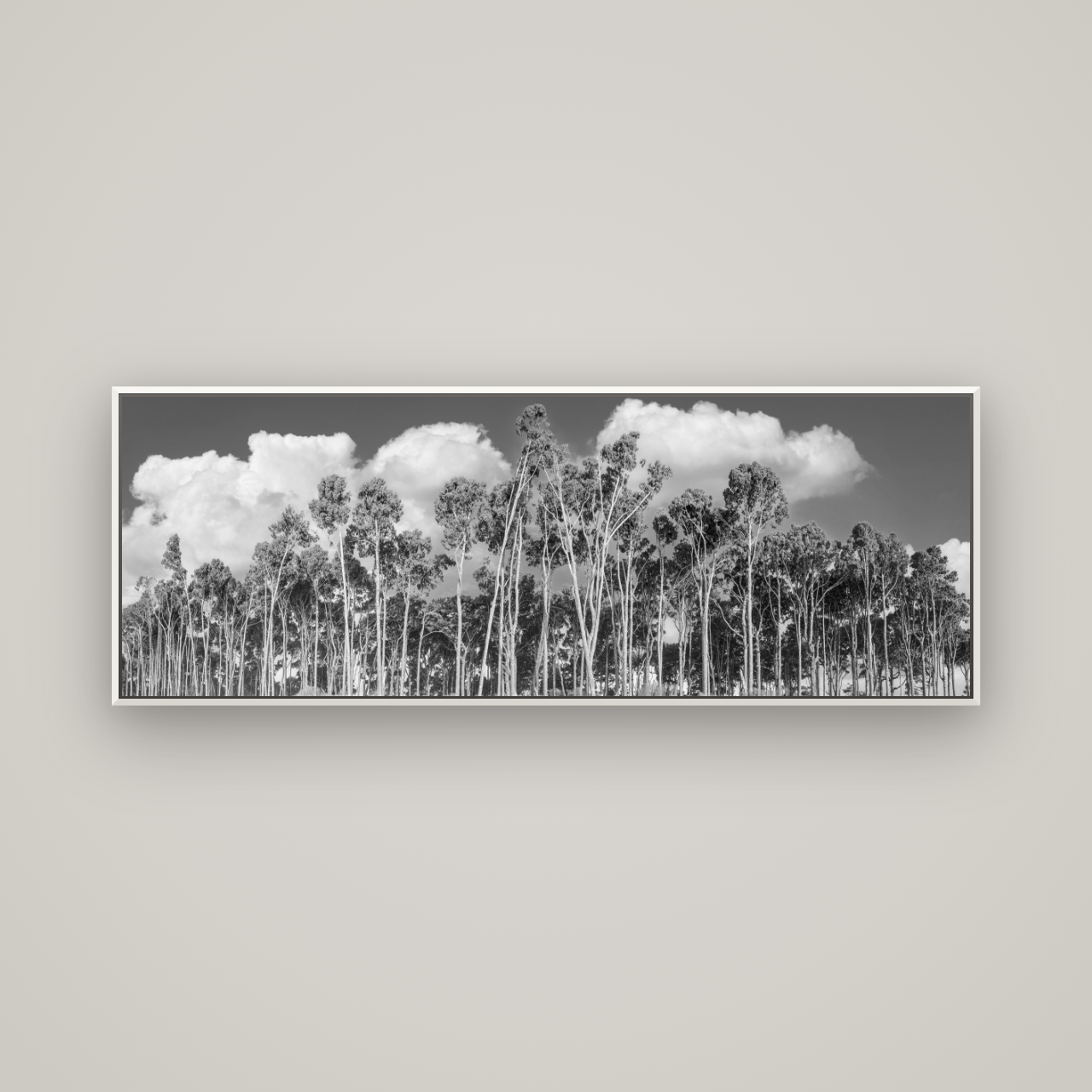 Rimu Reverie, Bruce Bay's Coastal Symphony — Basel White, 170×60 cm. New Zealand fine art wall art by Stephen Milner.