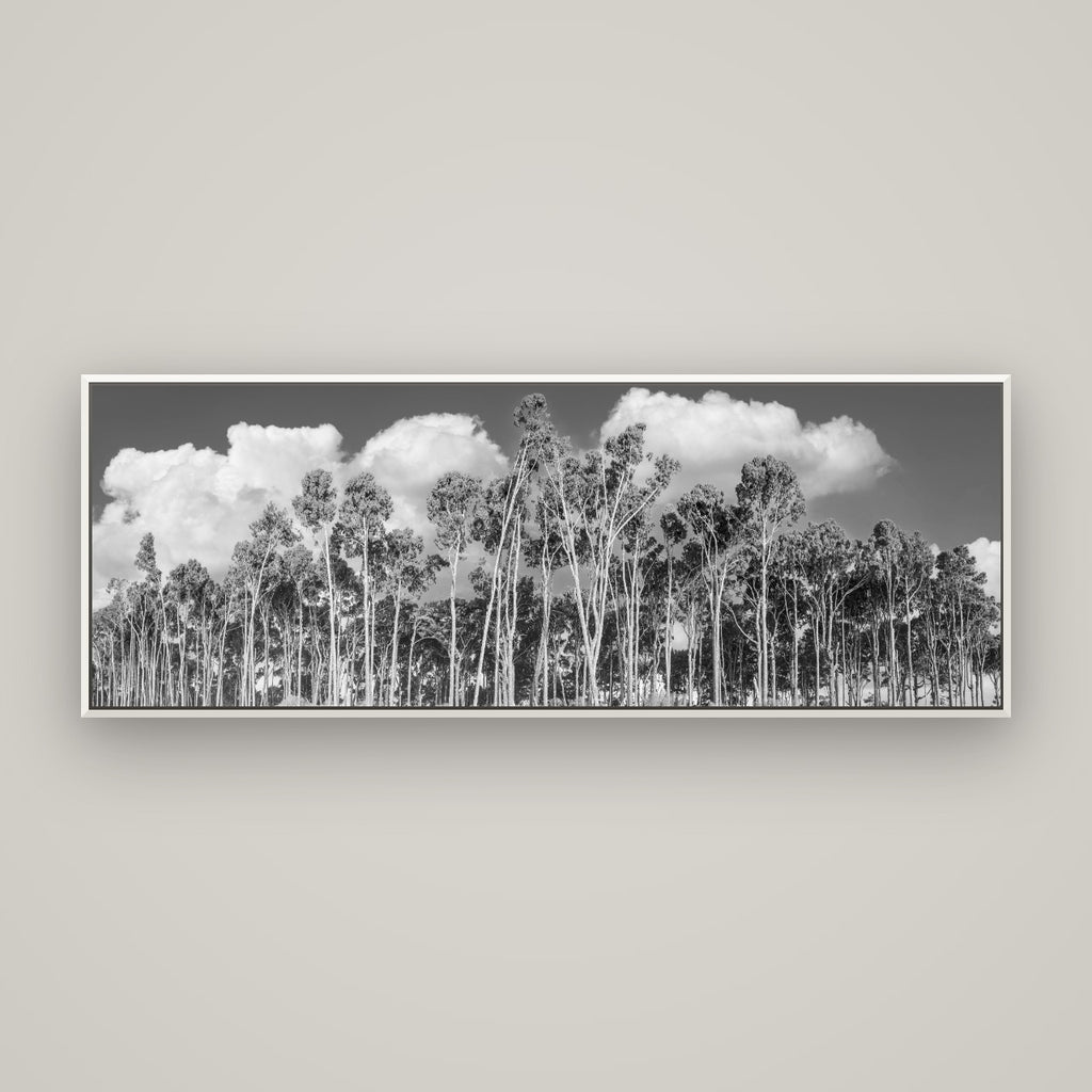 Rimu Reverie, Bruce Bay's Coastal Symphony — Basel White, 170×60 cm. New Zealand fine art wall art by Stephen Milner.