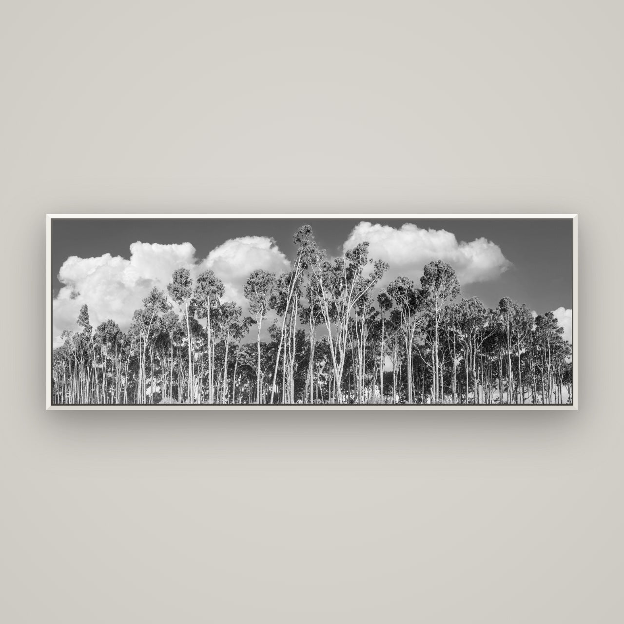 Rimu Reverie, Bruce Bay's Coastal Symphony — Basel White, 170×60 cm. New Zealand fine art wall art by Stephen Milner.