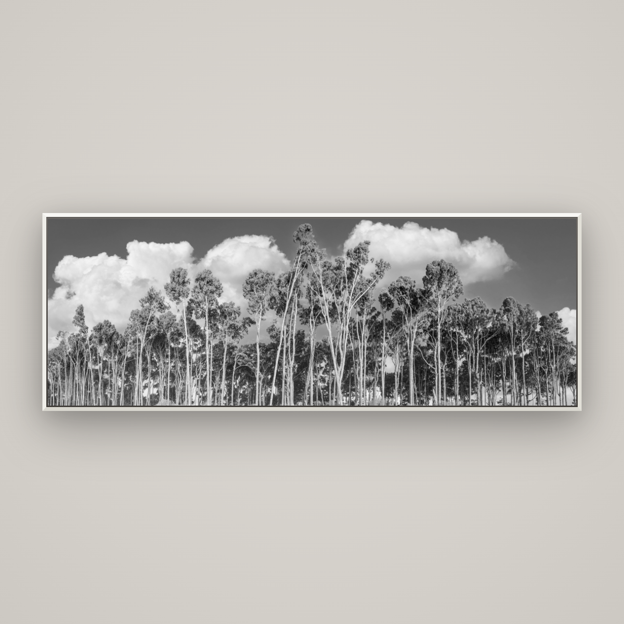 Rimu Reverie, Bruce Bay's Coastal Symphony — Basel White, 198×70 cm. New Zealand fine art wall art by Stephen Milner.