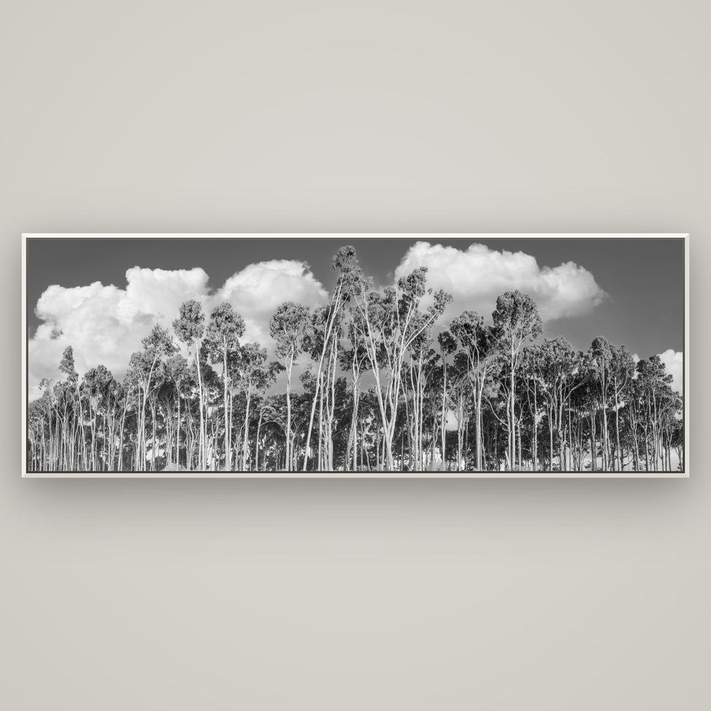 Rimu Reverie, Bruce Bay's Coastal Symphony — Basel White, 198×70 cm. New Zealand fine art wall art by Stephen Milner.