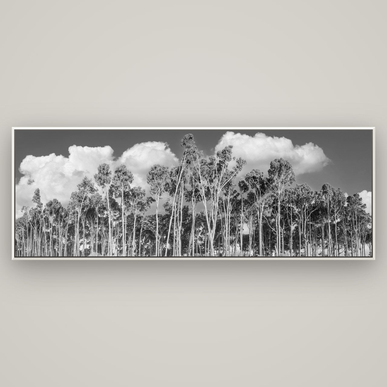 Rimu Reverie, Bruce Bay's Coastal Symphony — Basel White, 198×70 cm. New Zealand fine art wall art by Stephen Milner.
