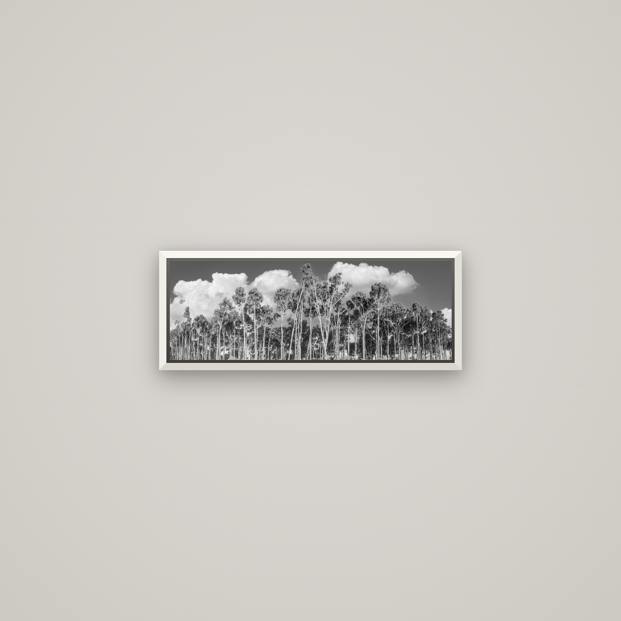 Rimu Reverie, Bruce Bay's Coastal Symphony — Basel White, 57×20 cm. New Zealand fine art wall art by Stephen Milner.