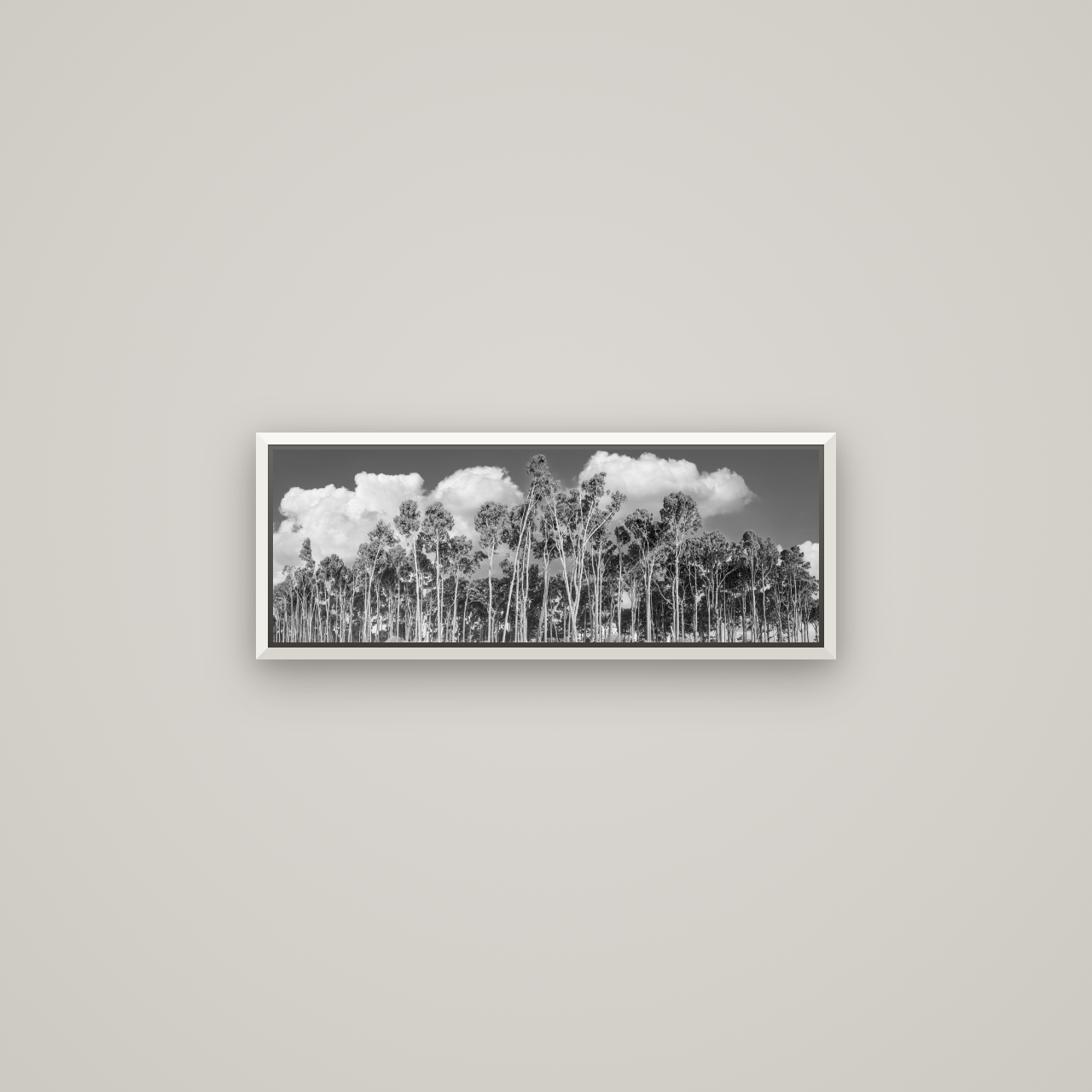 Rimu Reverie, Bruce Bay's Coastal Symphony — Basel White, 68×24 cm. New Zealand fine art wall art by Stephen Milner.