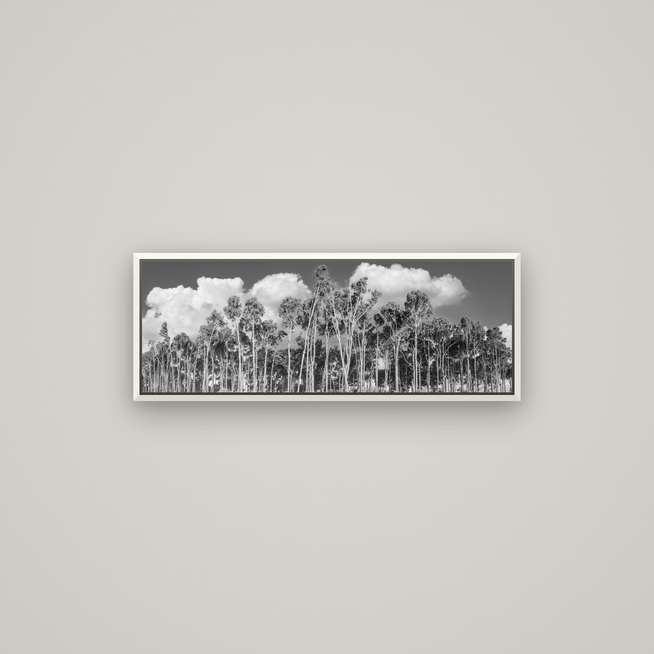 Rimu Reverie, Bruce Bay's Coastal Symphony — Basel White, 85×30 cm. New Zealand fine art wall art by Stephen Milner.