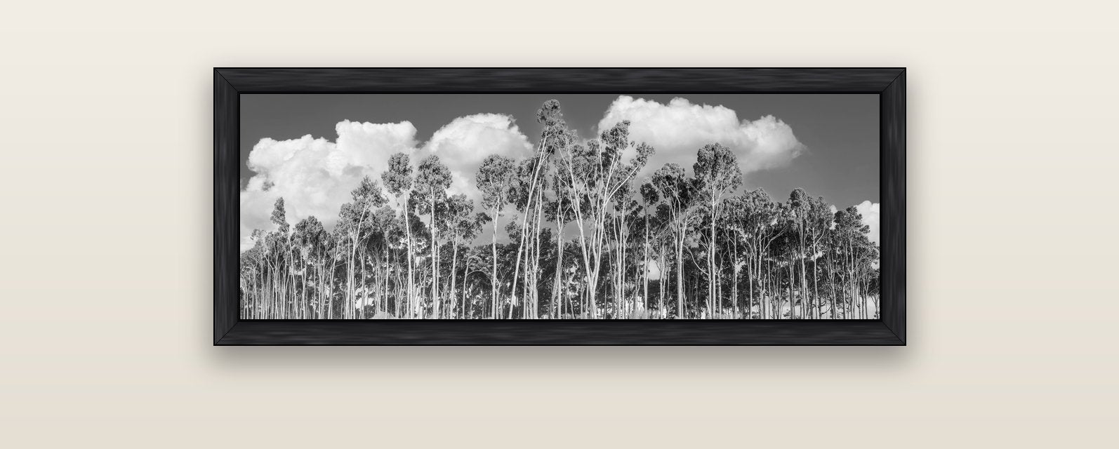 Rimu Reverie, Bruce Bay's Coastal Symphony — black float frame canvas, 102 × 36 cm. New Zealand fine art landscape wall art by Stephen Milner.