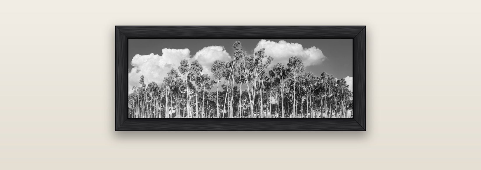Rimu Reverie, Bruce Bay's Coastal Symphony — black float frame canvas, 71 × 25 cm. New Zealand fine art landscape wall art by Stephen Milner.