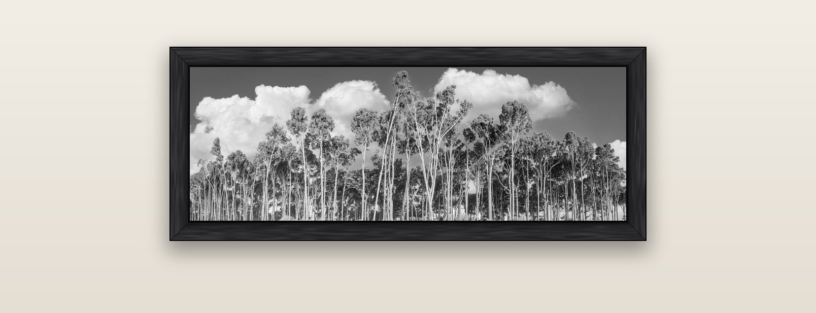 Rimu Reverie, Bruce Bay's Coastal Symphony — black float frame canvas, 91 × 31 cm. New Zealand fine art landscape wall art by Stephen Milner.