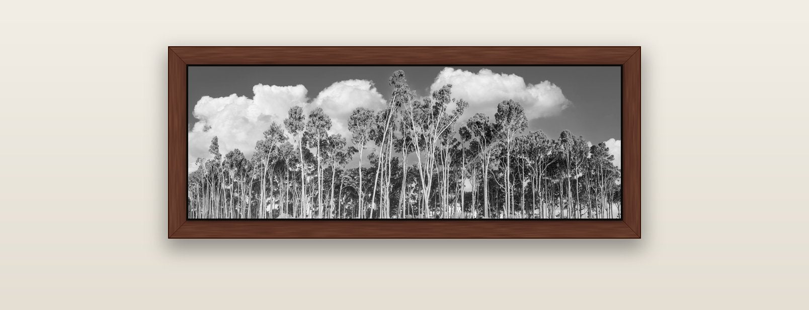 Rimu Reverie, Bruce Bay's Coastal Symphony — brown float frame canvas, 91 × 31 cm. New Zealand fine art landscape wall art by Stephen Milner.