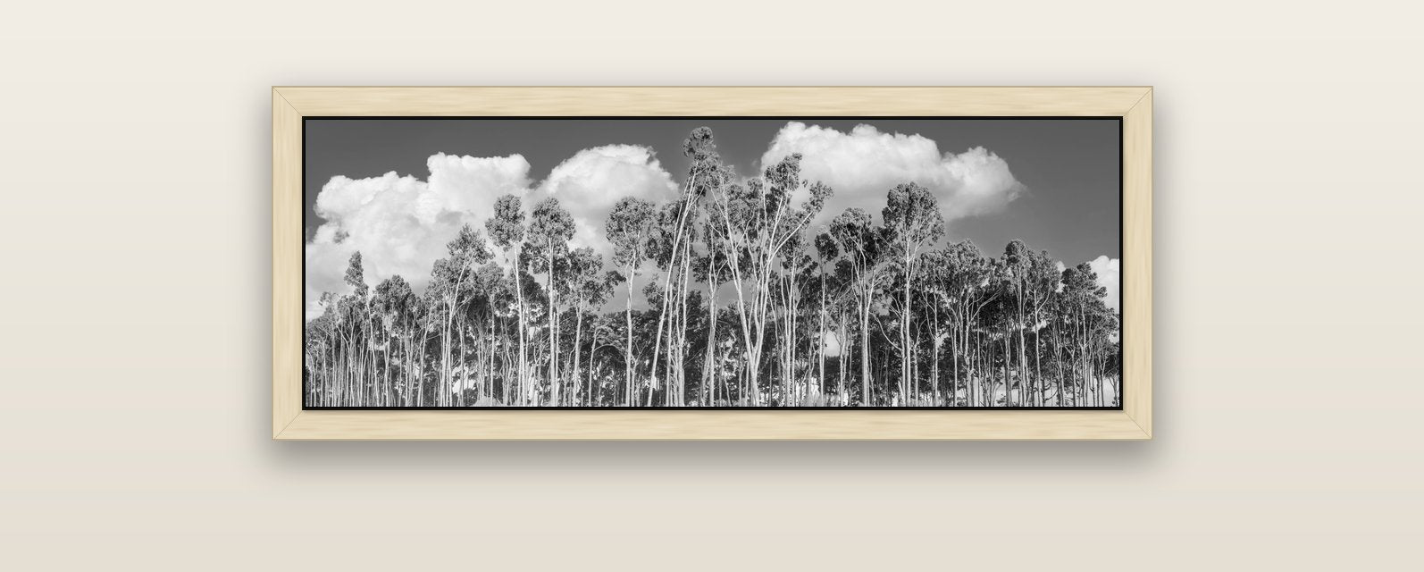 Rimu Reverie, Bruce Bay's Coastal Symphony — natural float frame canvas, 102 × 36 cm. New Zealand fine art landscape wall art by Stephen Milner.