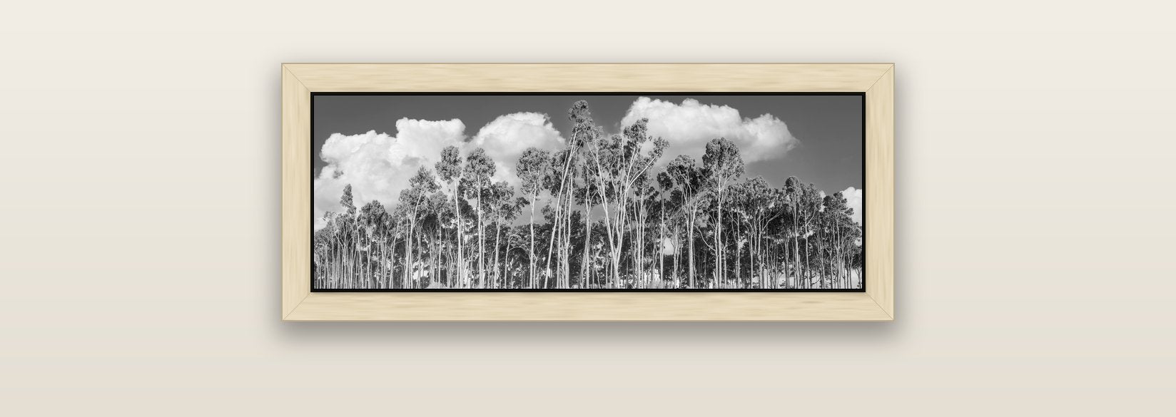 Rimu Reverie, Bruce Bay's Coastal Symphony — natural float frame canvas, 71 × 25 cm. New Zealand fine art landscape wall art by Stephen Milner.