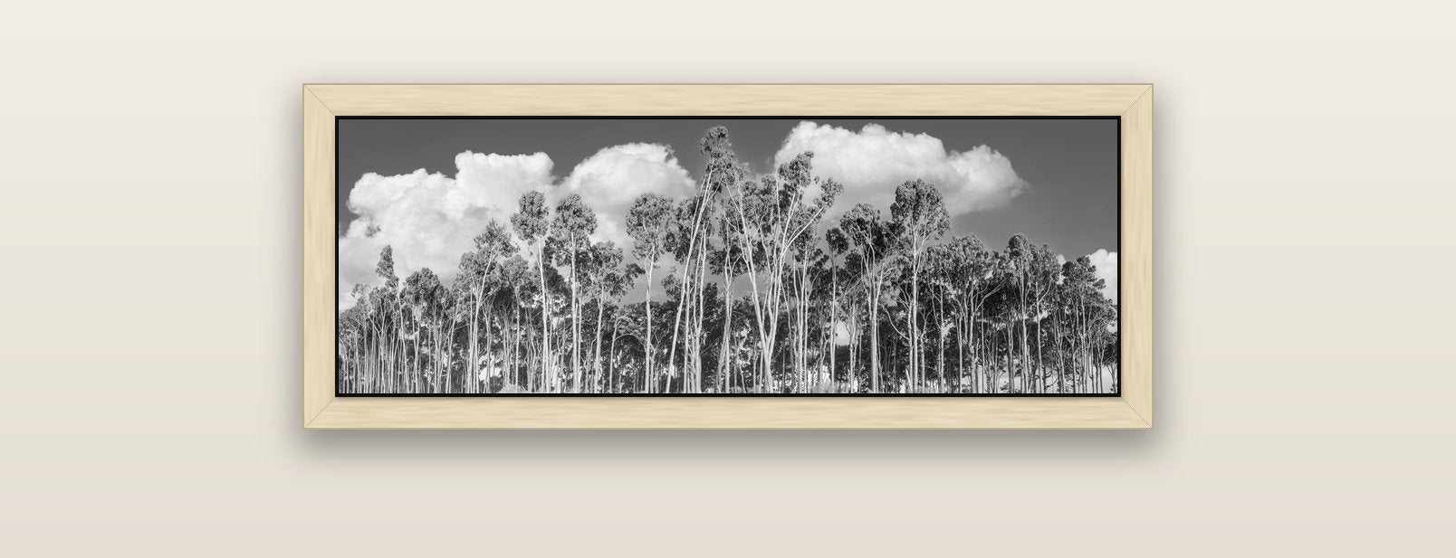 Rimu Reverie, Bruce Bay's Coastal Symphony — natural float frame canvas, 91 × 31 cm. New Zealand fine art landscape wall art by Stephen Milner.