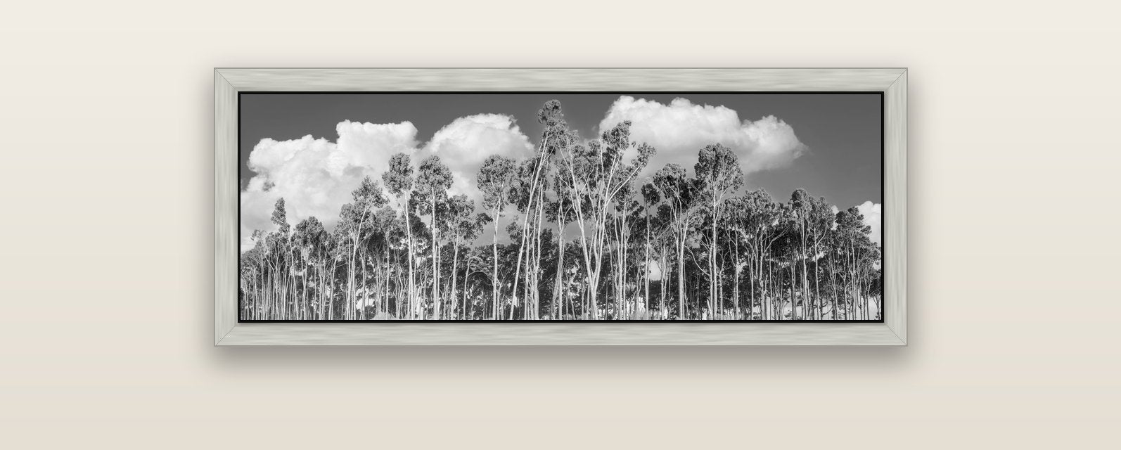 Rimu Reverie, Bruce Bay's Coastal Symphony — silver float frame canvas, 102 × 36 cm. New Zealand fine art landscape wall art by Stephen Milner.