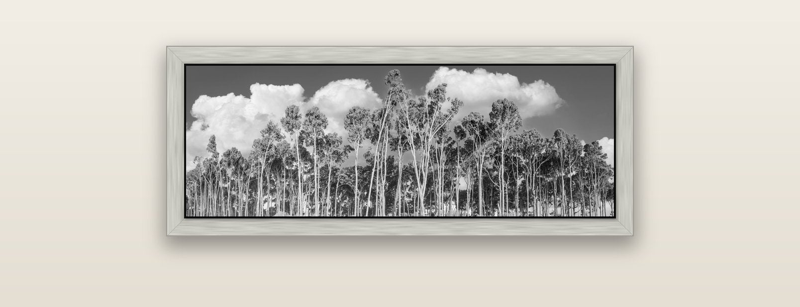 Rimu Reverie, Bruce Bay's Coastal Symphony — silver float frame canvas, 91 × 31 cm. New Zealand fine art landscape wall art by Stephen Milner.