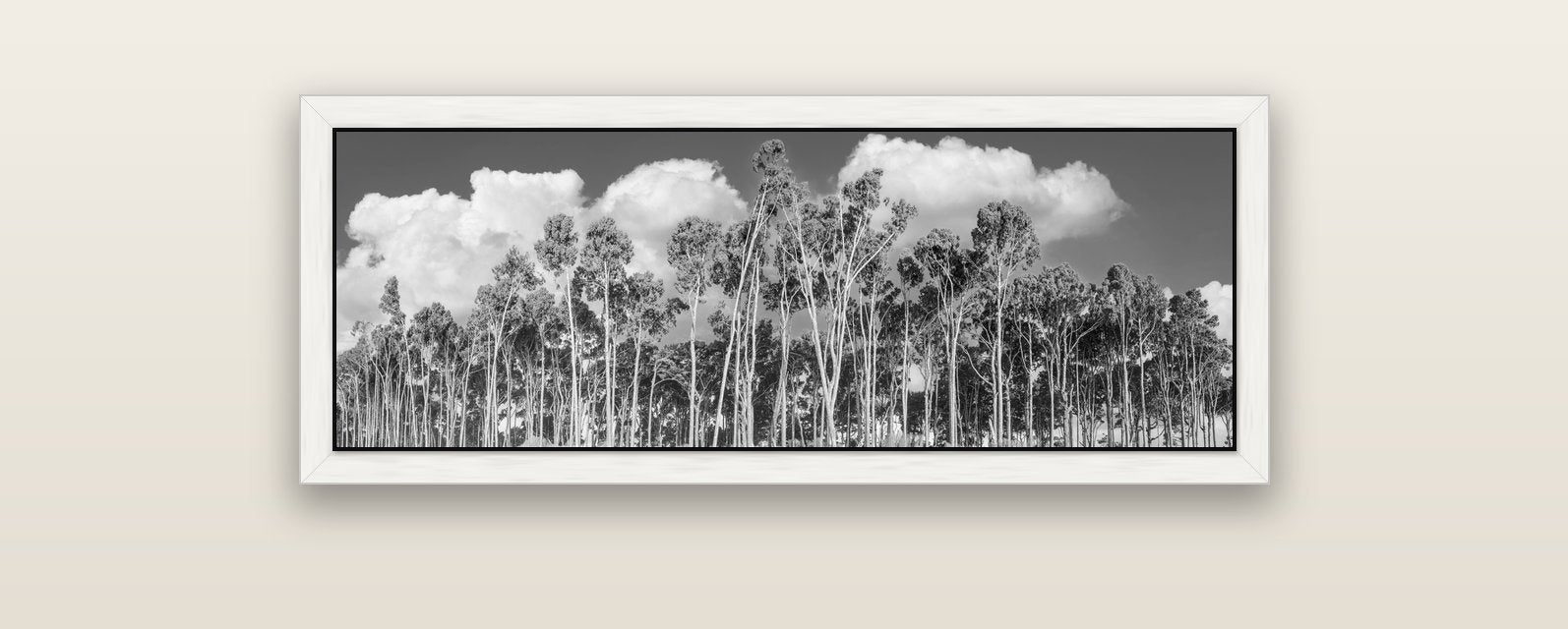 Rimu Reverie, Bruce Bay's Coastal Symphony — white float frame canvas, 102 × 36 cm. New Zealand fine art landscape wall art by Stephen Milner.