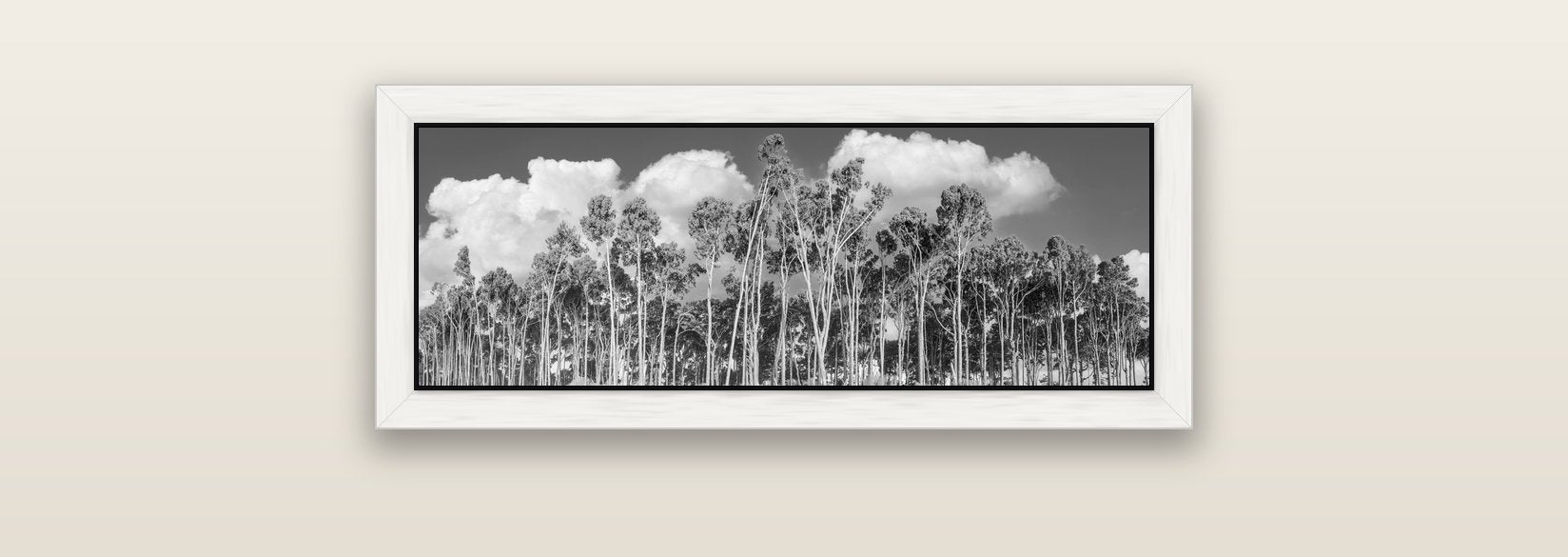 Rimu Reverie, Bruce Bay's Coastal Symphony — white float frame canvas, 71 × 25 cm. New Zealand fine art landscape wall art by Stephen Milner.