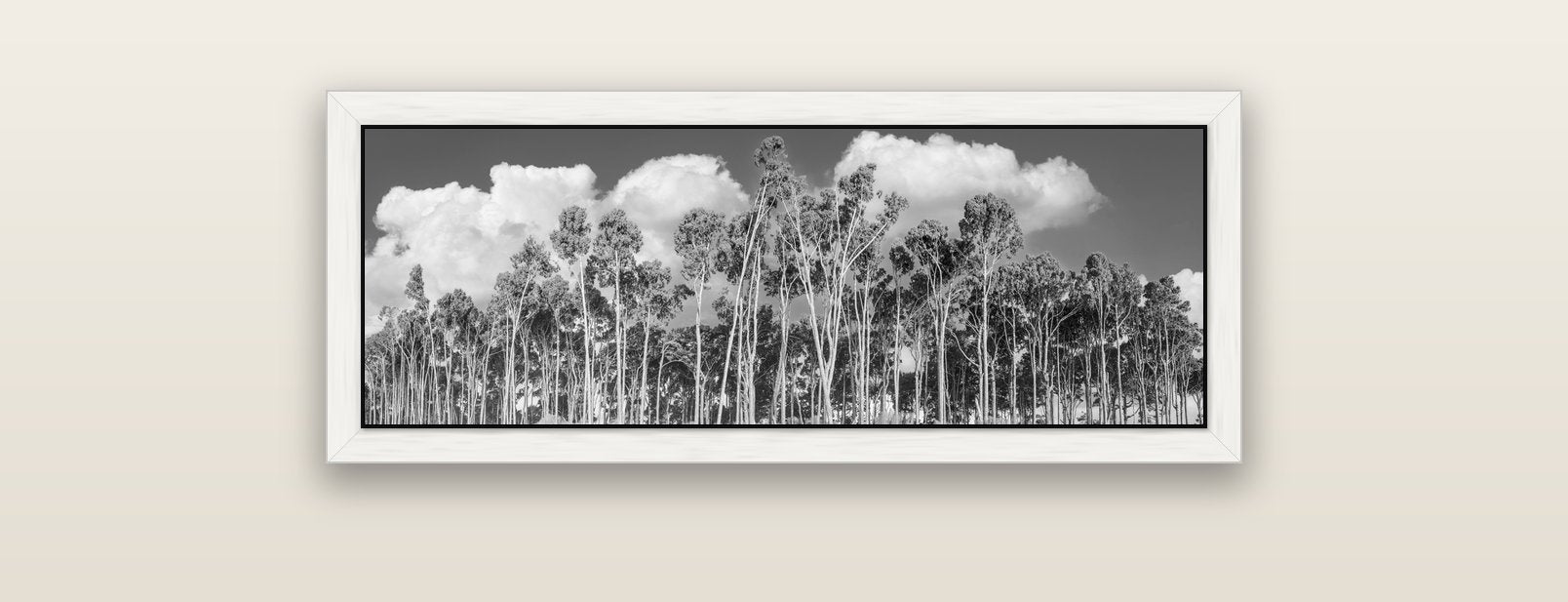 Rimu Reverie, Bruce Bay's Coastal Symphony — white float frame canvas, 91 × 31 cm. New Zealand fine art landscape wall art by Stephen Milner.