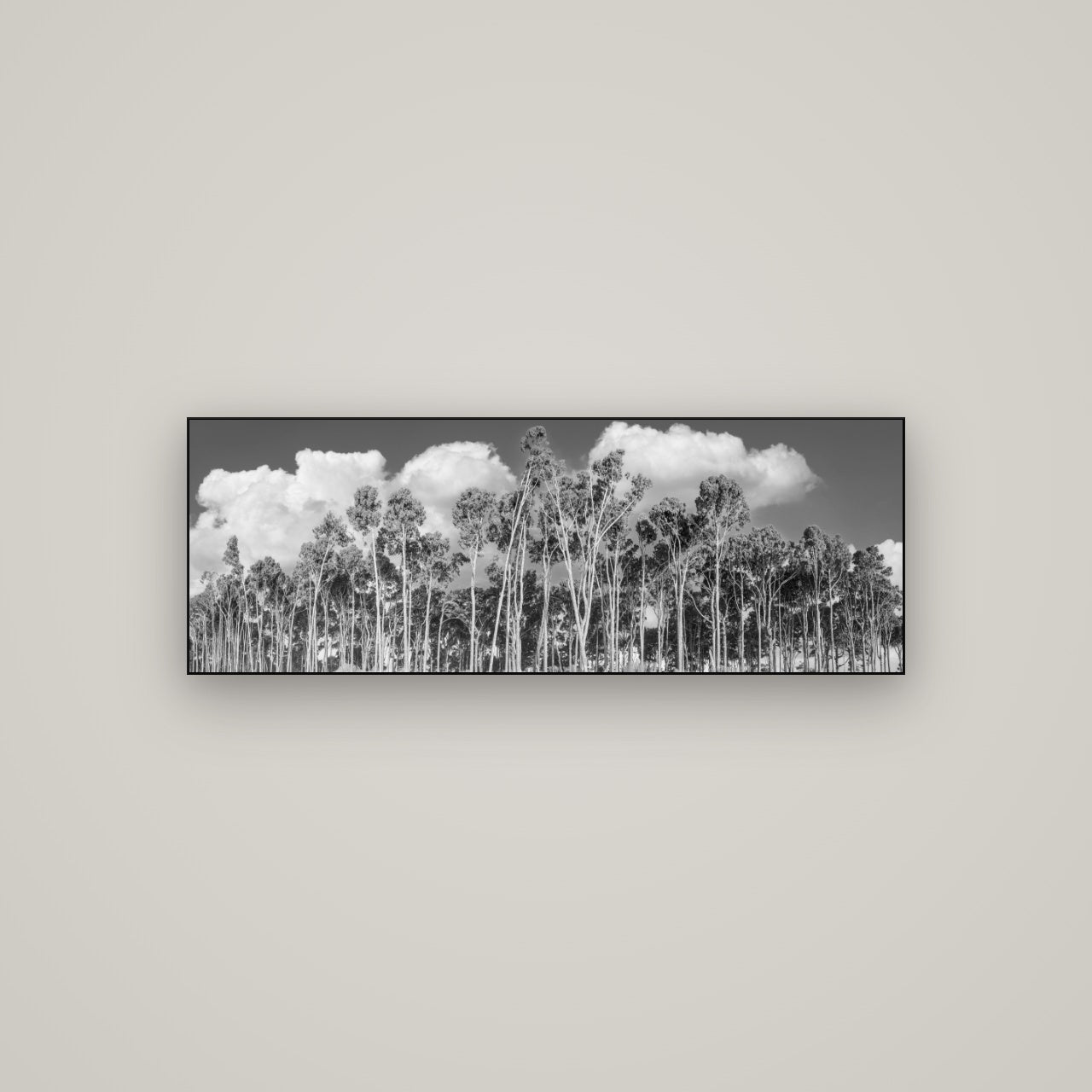 Rimu Reverie, Bruce Bay's Coastal Symphony — Slimline Black, 113×40 cm. New Zealand fine art wall art by Stephen Milner.