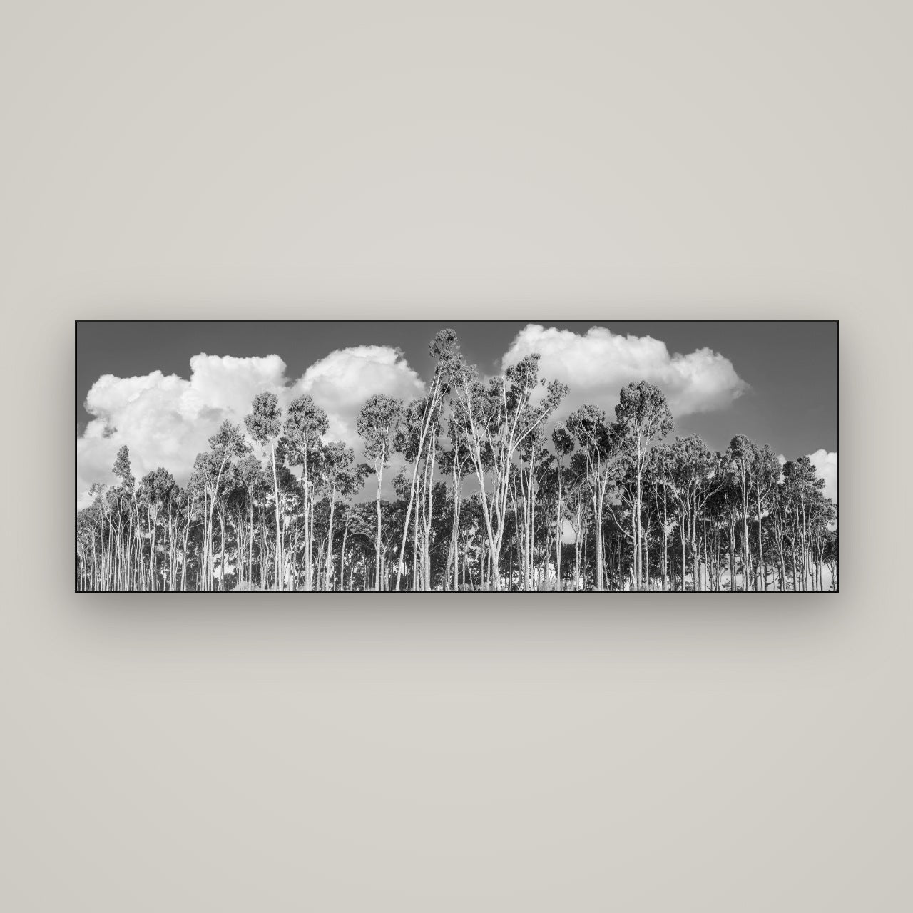 Rimu Reverie, Bruce Bay's Coastal Symphony — Slimline Black, 170×60 cm. New Zealand fine art wall art by Stephen Milner.