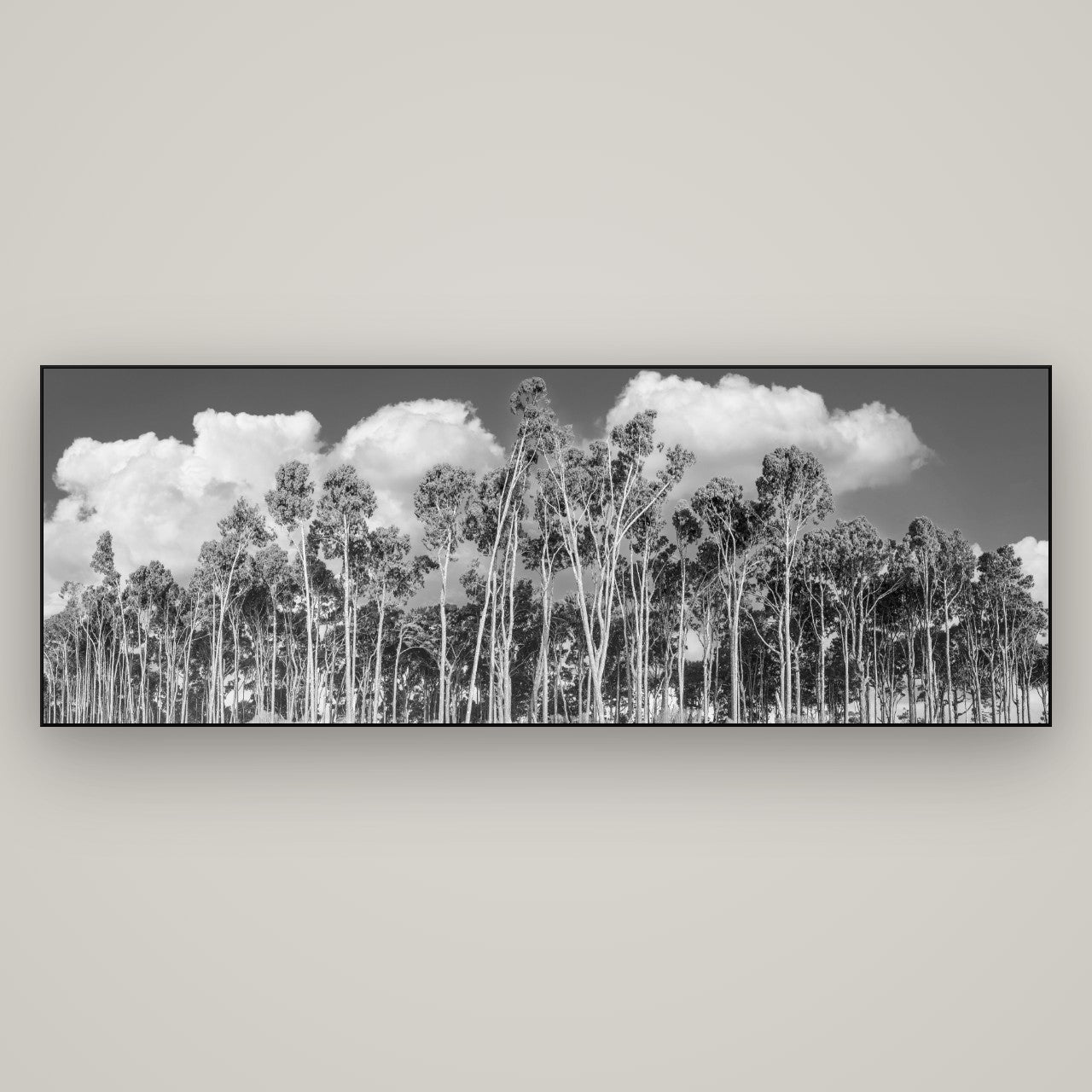 Rimu Reverie, Bruce Bay's Coastal Symphony — Slimline Black, 198×70 cm. New Zealand fine art wall art by Stephen Milner.