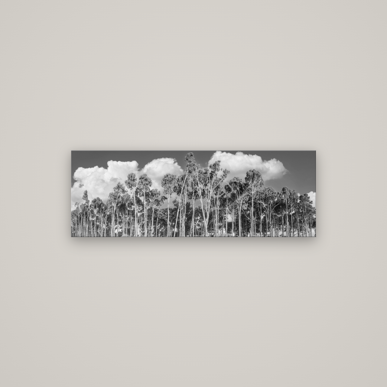 Rimu Reverie, Bruce Bay's Coastal Symphony — No frame, 113×40 cm. New Zealand fine art wall art by Stephen Milner.