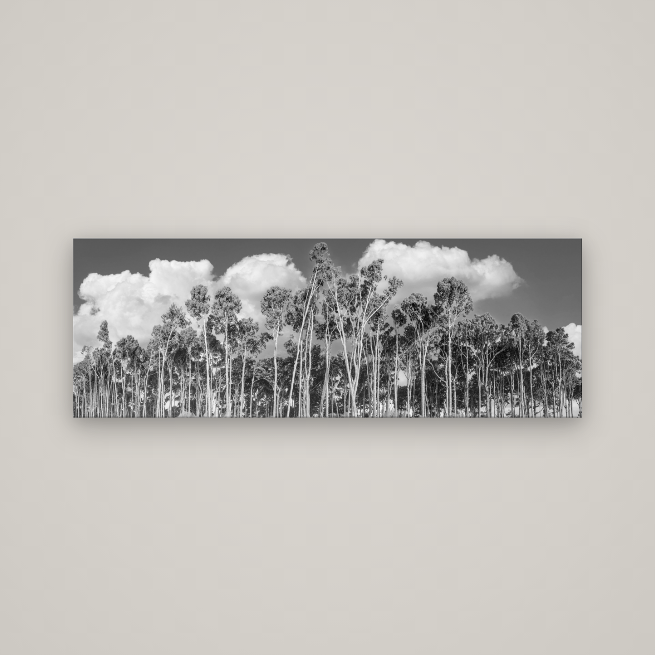 Rimu Reverie, Bruce Bay's Coastal Symphony — No frame, 170×60 cm. New Zealand fine art wall art by Stephen Milner.