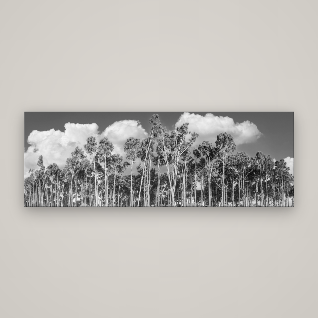 Rimu Reverie, Bruce Bay's Coastal Symphony — No frame, 198×70 cm. New Zealand fine art wall art by Stephen Milner.