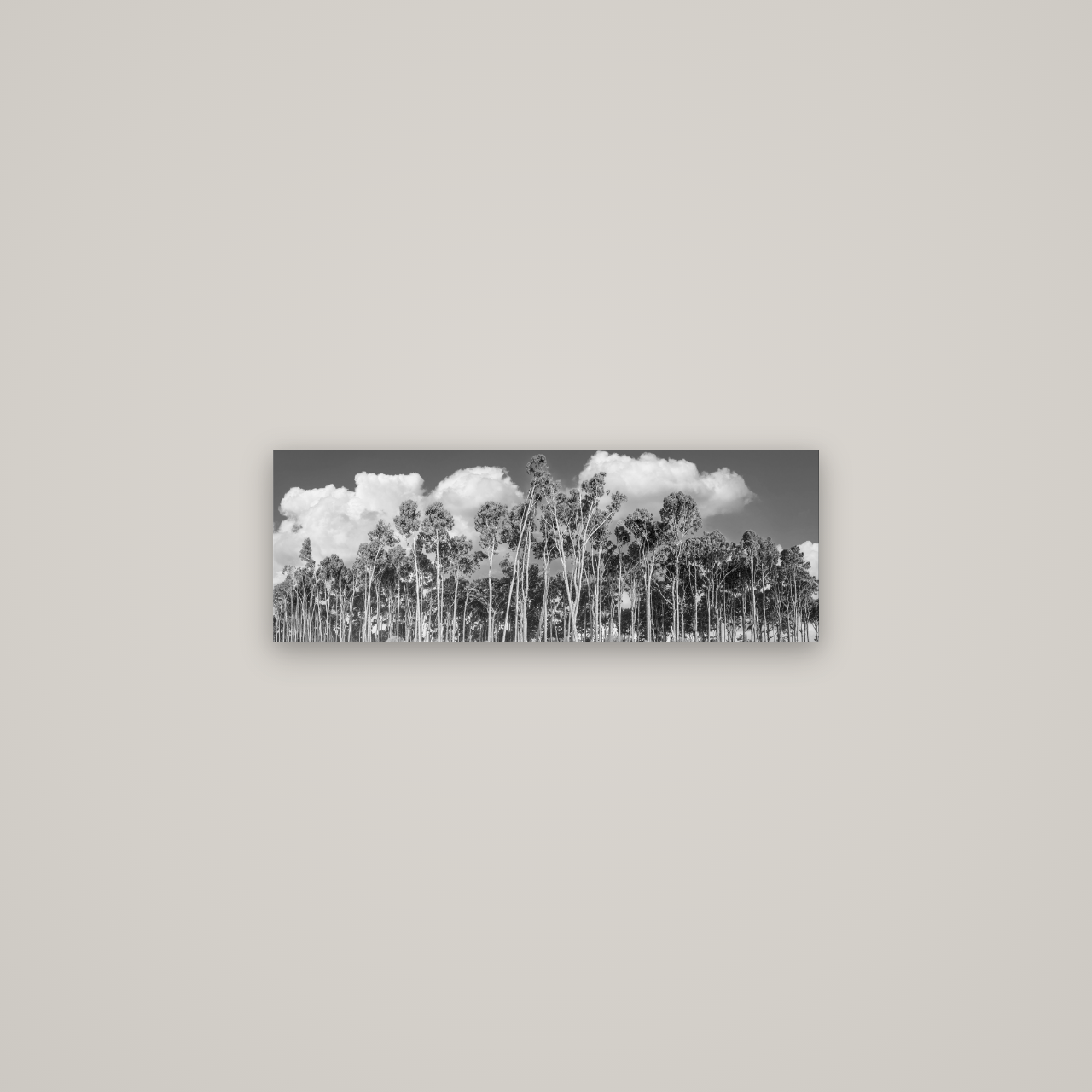 Rimu Reverie, Bruce Bay's Coastal Symphony — No frame, 68×24 cm. New Zealand fine art wall art by Stephen Milner.